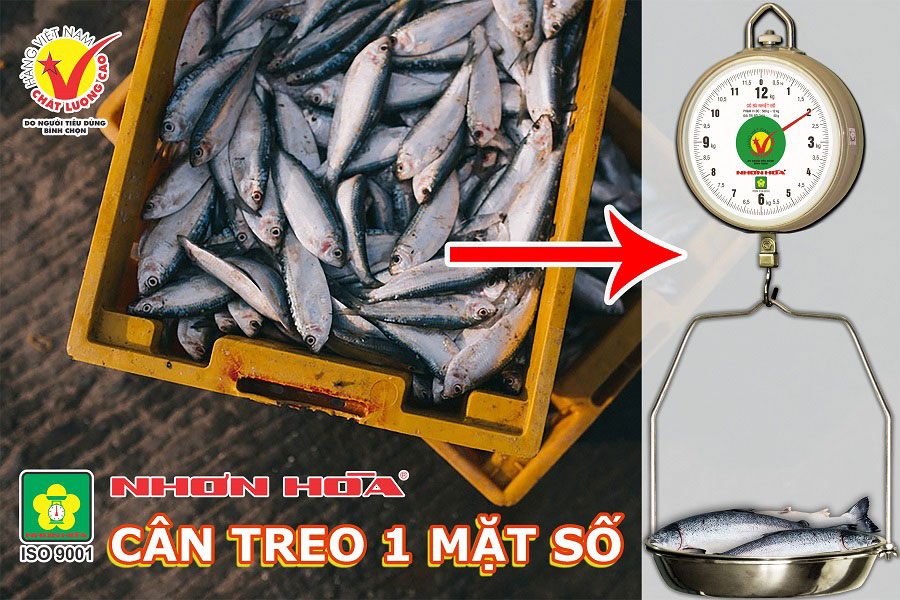 Những Đặc Điểm Phân Biệt Cân Treo Nhơn Hòa (Cân Treo 1 Mặt Số 8 Inches) 1 Những Đặc Điểm Phân Biệt Cân Treo Nhơn Hòa (Cân Treo 1 Mặt Số 8 Inches)